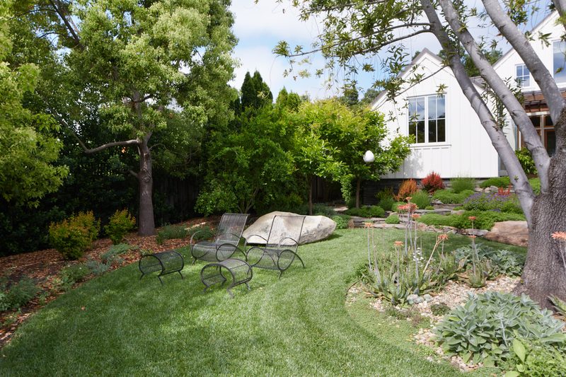Landscaped backyard garden